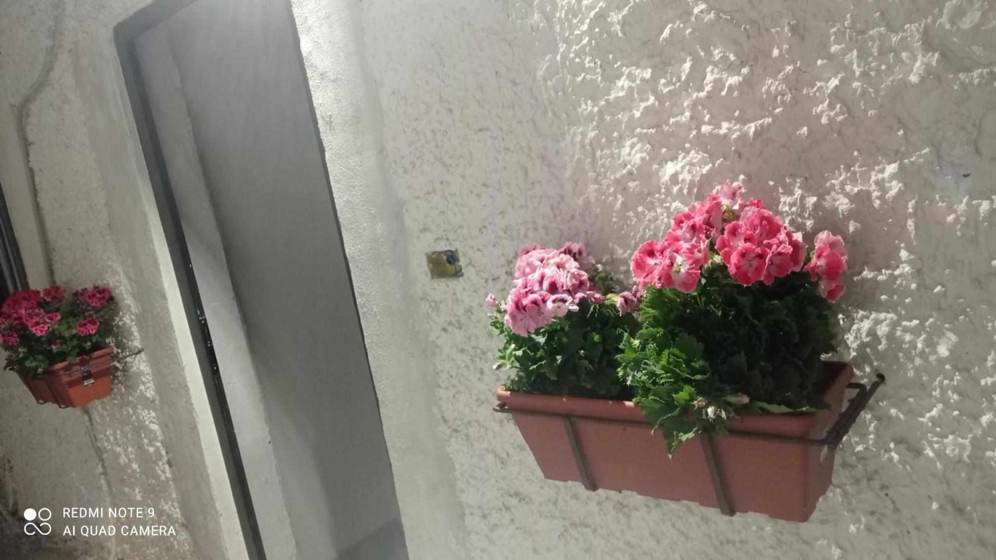 Ortensia C House Villa Катания Екстериор снимка